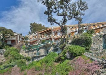 Terreno - Villa via Jacopo Ruffini, 1, Camogli - foto 50