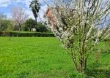 Appartamento Canelli - foto 35