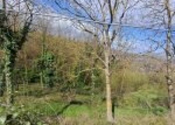 Appartamento Canelli - foto 36