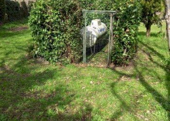 Terreno - Casa indipendente Valsamoggia (zona San Damaso) - foto 10