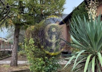 GIARDINO  - Villa Unifamiliare Bovezzo - foto 30