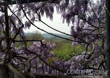 whatsapp image 2025-03-04 at 16.35.47 (1) - Portion of a house strada del Pilonetto, 35, Castiglione Torinese - photo 8