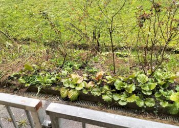 Apartment Bettola - photo 27