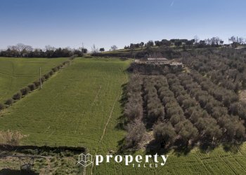 Rustico contrada sant'egidio, Monsampolo del Tronto - foto 4