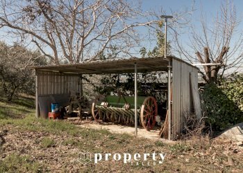 Rustico contrada sant'egidio, Monsampolo del Tronto - foto 19