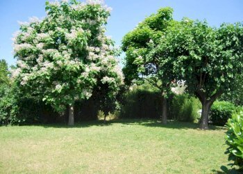 Terreno - Villa via Rovido, Buccinasco - foto 12