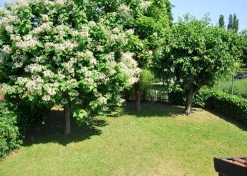 Giardino - Villa via Rovido, Buccinasco - photo 13