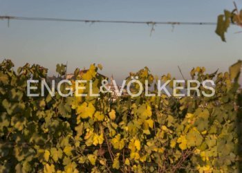 Dettagli - Terreno edificabile via Piana, Govone - foto 1