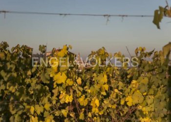 Vista - Terreno edificabile via Piana, Govone - foto 3