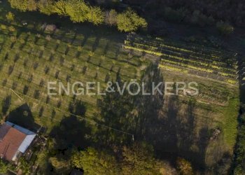 Terreno - Terreno edificabile via Piana, Govone - foto 5