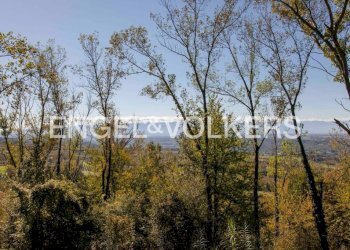 Vista - Rustico Frazione Vergne, Barolo - foto 7