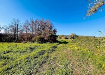 Villa Torpè - foto 21