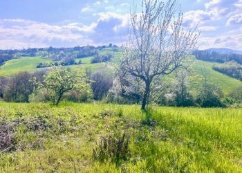 Villa Unifamiliare Lesignano de' Bagni - foto 95