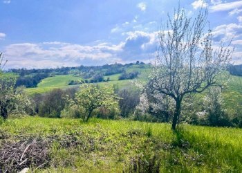 Villa Unifamiliare Lesignano de' Bagni - foto 96