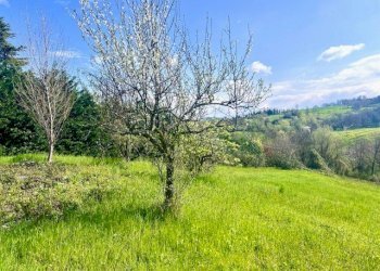 Villa Unifamiliare Lesignano de' Bagni - foto 98
