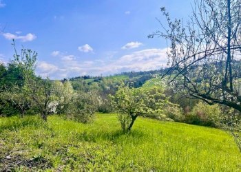 Villa Unifamiliare Lesignano de' Bagni - foto 99