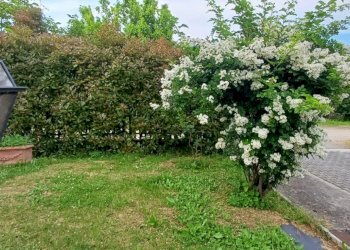 Villa Unifamiliare Lesignano de' Bagni - foto 70