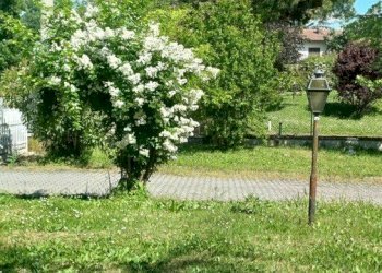 Villa Unifamiliare Lesignano de' Bagni - foto 100