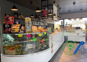 Attività Commerciale Via Levadello, Castiglione delle Stiviere - foto 1