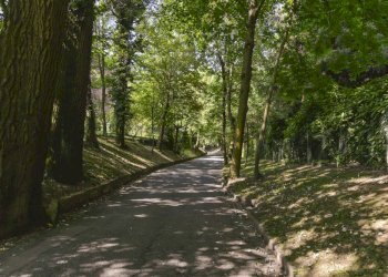 Appartamento Viale Thovez, Torino (zona Precollina) - foto 6