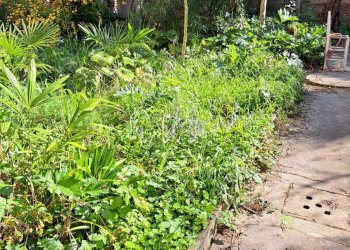 Casa indipendente Ravenna (zona Centro Storico) - foto 18