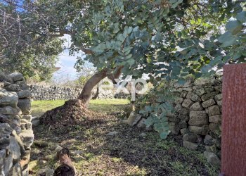 Dimora Storica Ragusa - foto 5