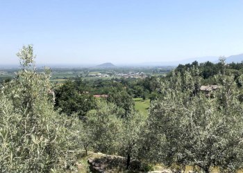 Building land San Secondo di Pinerolo - photo 6