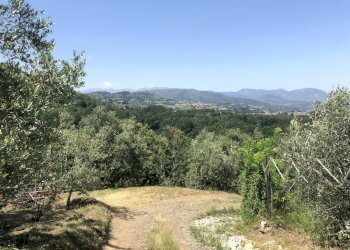 Building land San Secondo di Pinerolo - photo 9