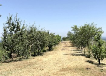 Building land San Secondo di Pinerolo - photo 10