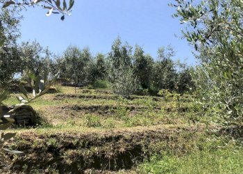Building land San Secondo di Pinerolo - photo 11