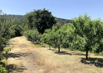 Building land San Secondo di Pinerolo - photo 12