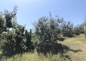 Building land San Secondo di Pinerolo - photo 14