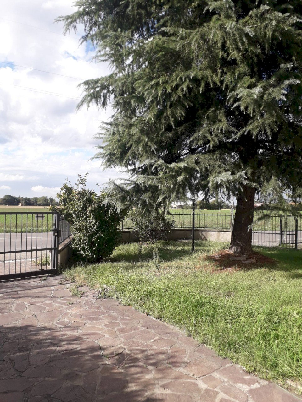 Shed Imola - photo 3