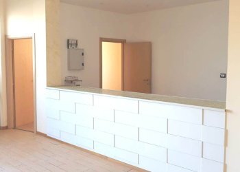 Shed Imola - photo 4