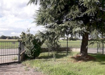 Shed Imola - photo 3