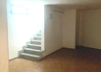 Shed Imola - photo 9