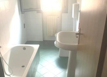 Shed Imola - photo 12