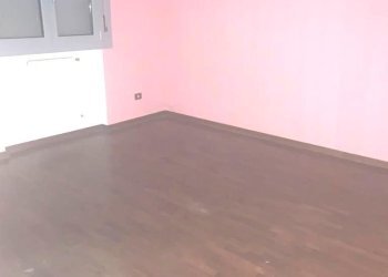 Shed Imola - photo 13