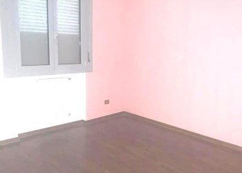 Shed Imola - photo 14