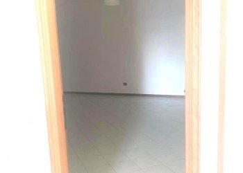 Shed Imola - photo 16