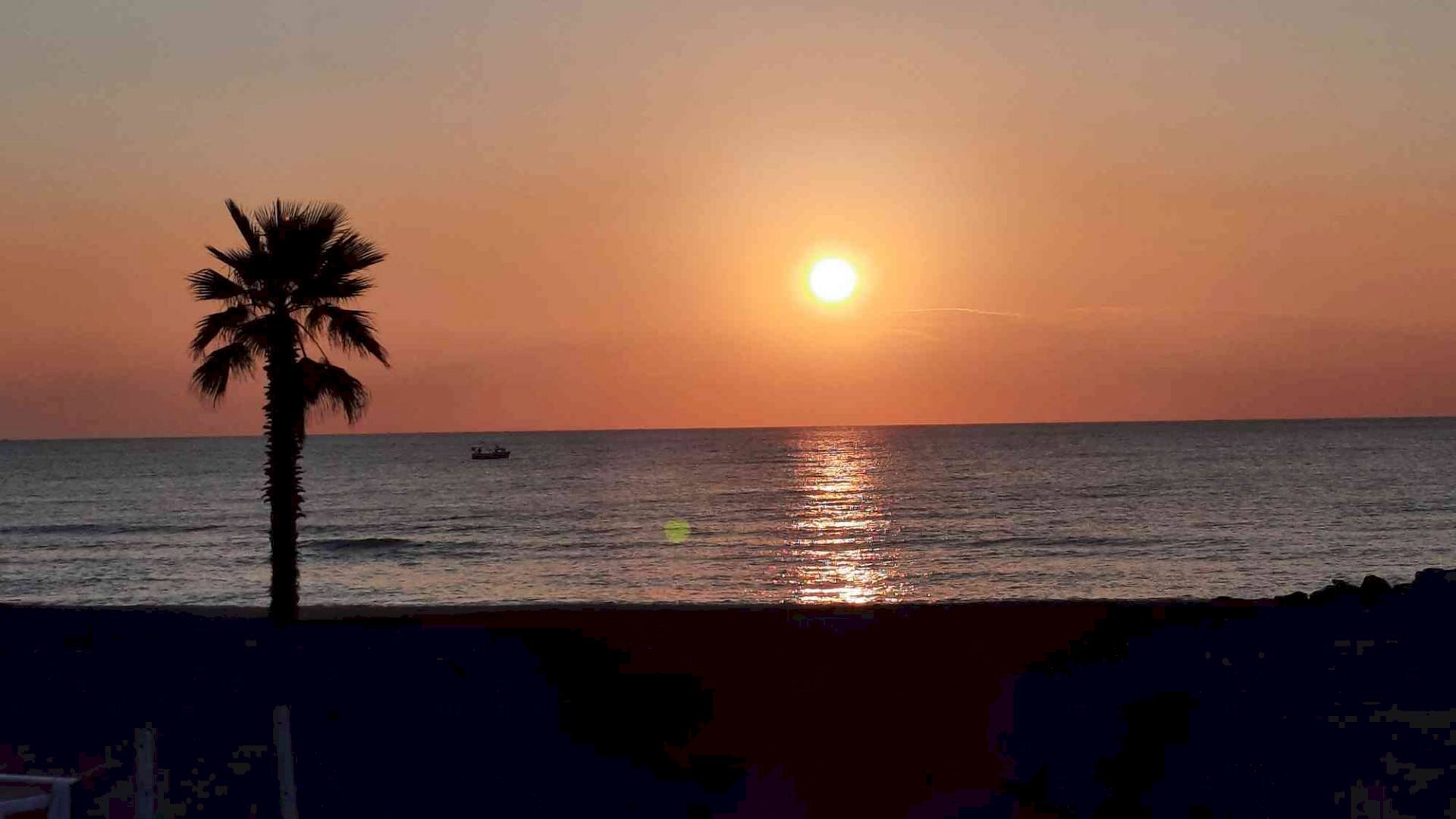 Attività Commerciale Loano - foto 2