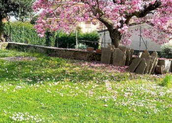 img-20250403-wa0022 - Bilocale via G. Rossini, 7, Luserna San Giovanni - foto 14