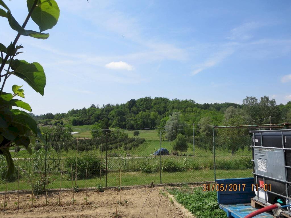 Rustic Montemagno - photo 3