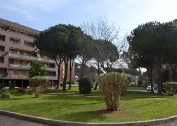 dsc_0257 - Quadrilocale viale Alfredo Ottaviani, Roma - foto 2