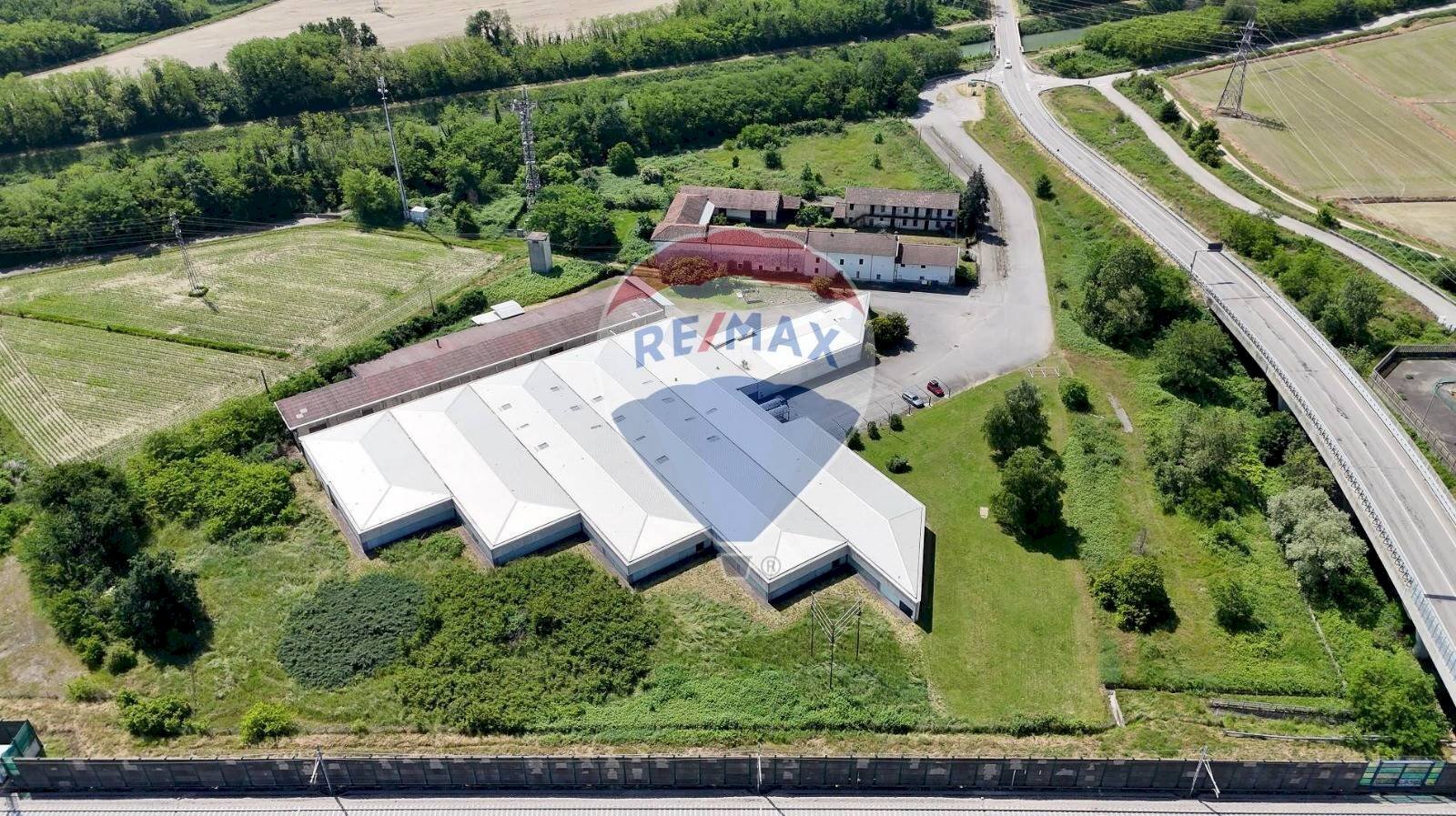 Locale Commerciale Strada Provinciale, 594 
 Greggio, Greggio - foto 3