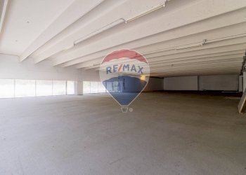 Locale Commerciale Strada Provinciale, 594 
 Greggio, Greggio - foto 16