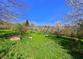 Rustico Valsamoggia - foto 9