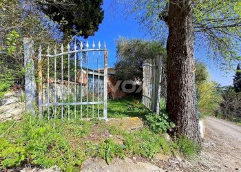 Rustico Valsamoggia - foto 33