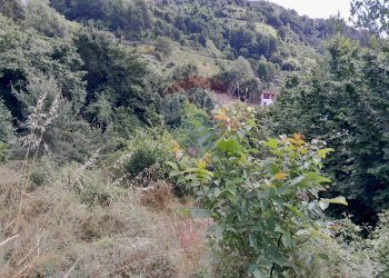 Semi-detached house Cassana, Borghetto di Vara, Borghetto di Vara - photo 6