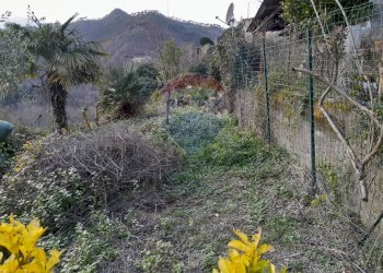 Casa semi indipendente Cassana, Borghetto di Vara, Borghetto di Vara - foto 12